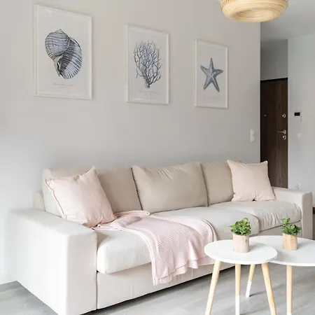 Scala By Moderna Profit- Lakowa 60e *